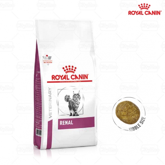 Cat Renal