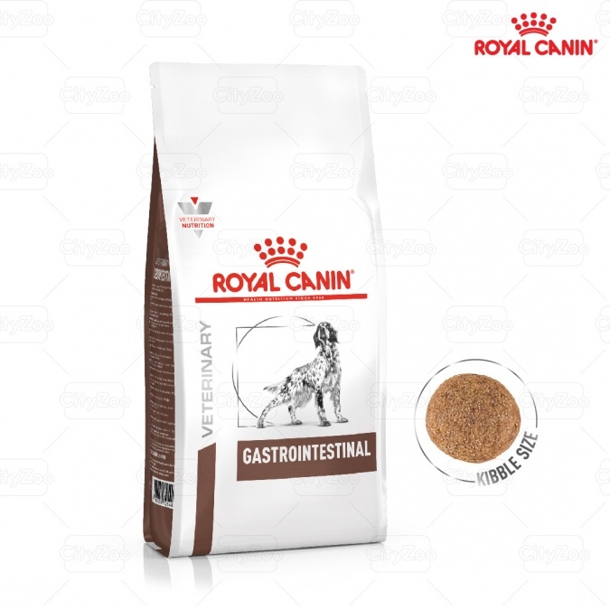 Dog Gastro Intestinal