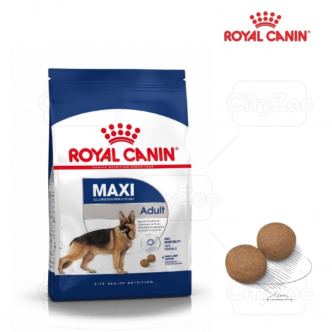 Dog Maxi Adult