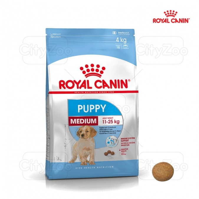 Dog Medium Puppy