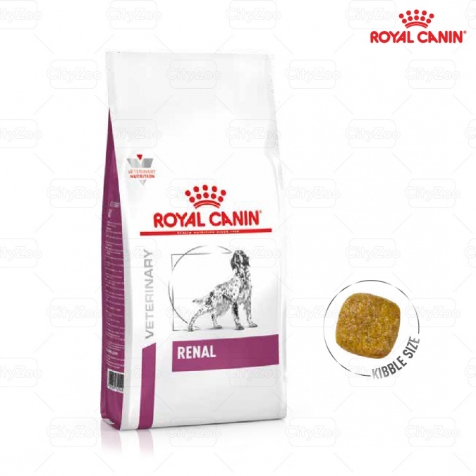 Dog Renal