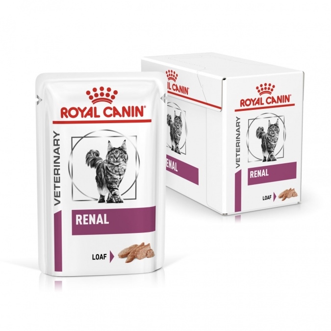 [Pate] Renal Cat