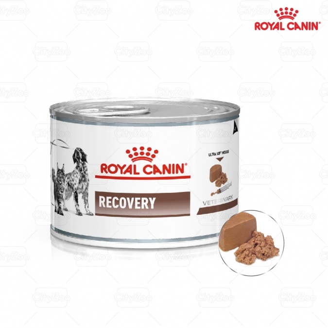 Recovery