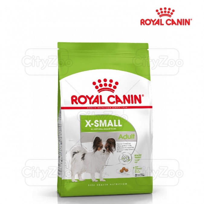 Dog Xsmll Adult
